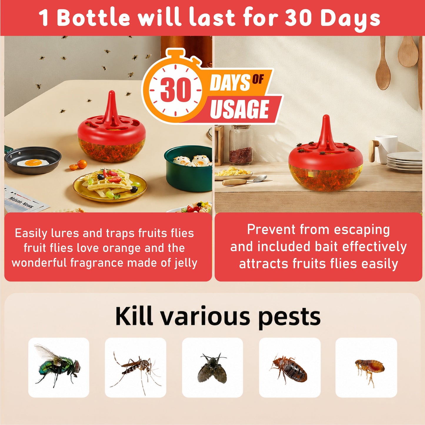 LivLifeGoods™ CleanNest Fly & Multi-Pest Bait Trap
