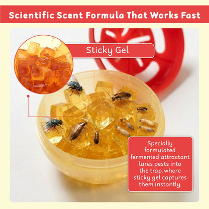 LivLifeGoods™ CleanNest Fly & Multi-Pest Bait Trap